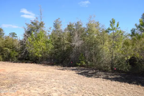 XXX Spirit Court, Alford, FL 32420