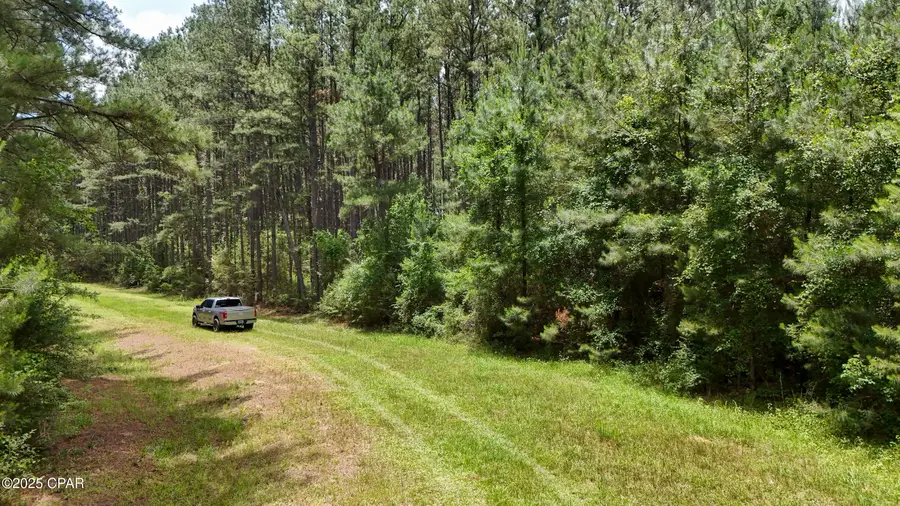 0 Southern Oak Way, Westville, FL 32464 - #2