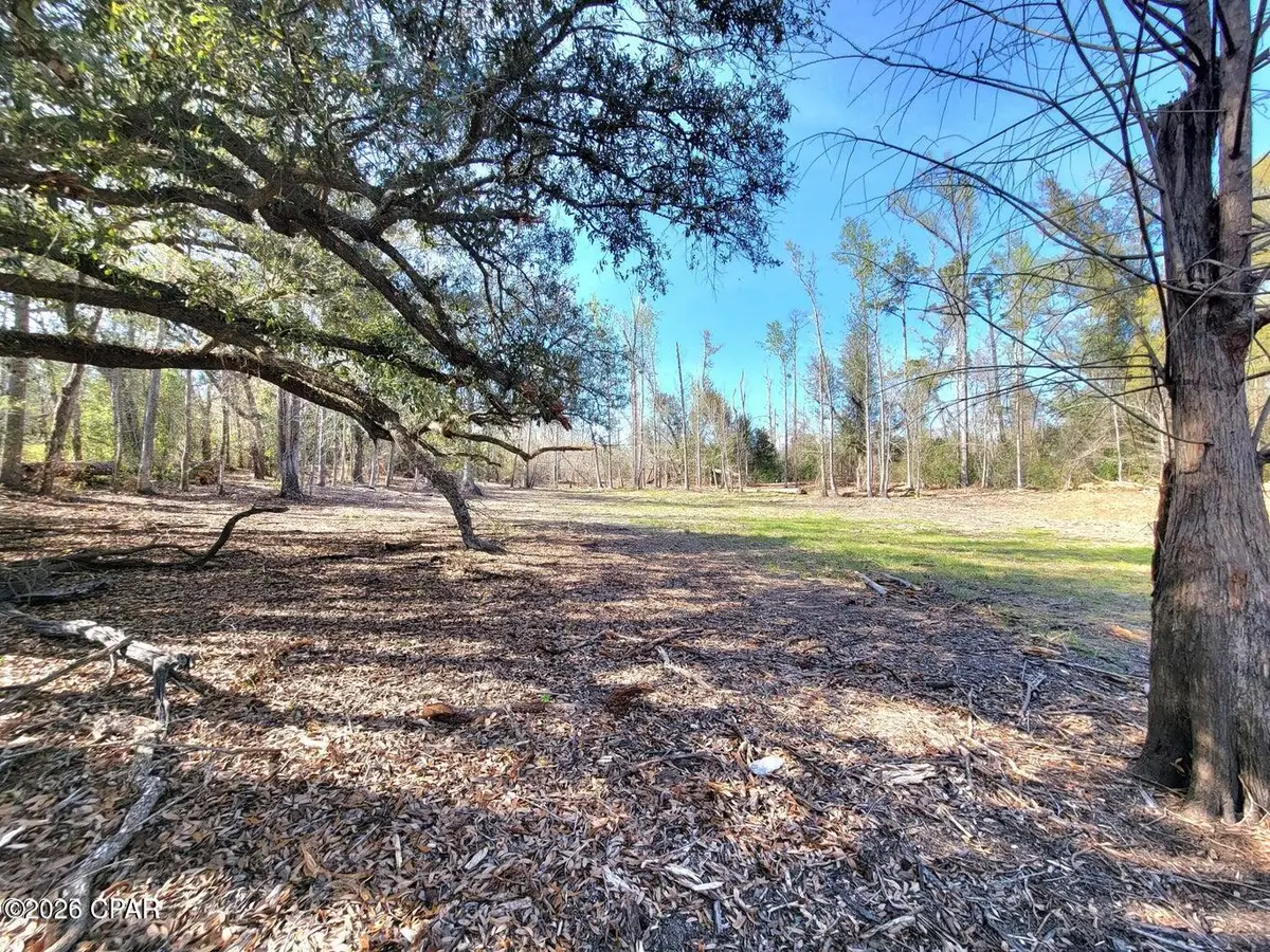 TBD Hwy 90, Sneads, FL 32460 - #1