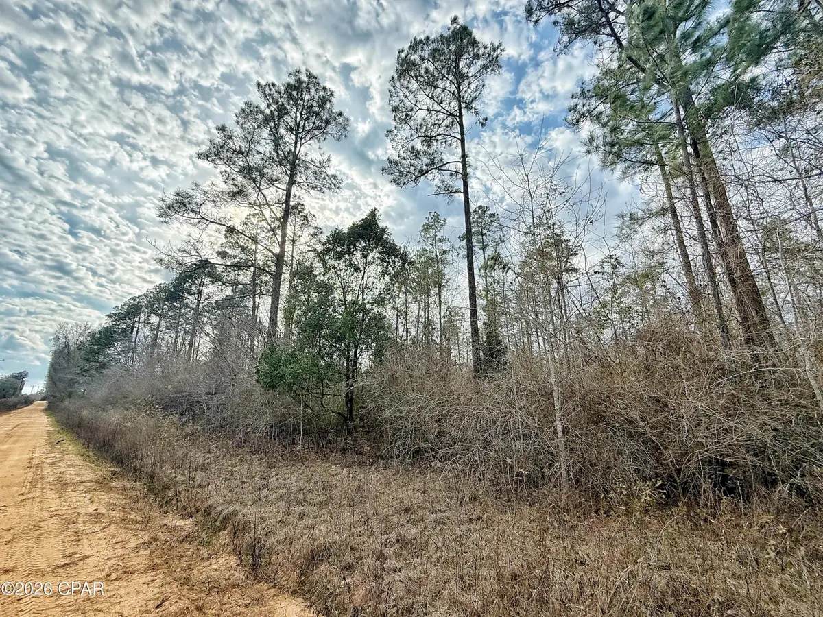 1718 Palmview Road, Cottondale, FL 32431 - #1