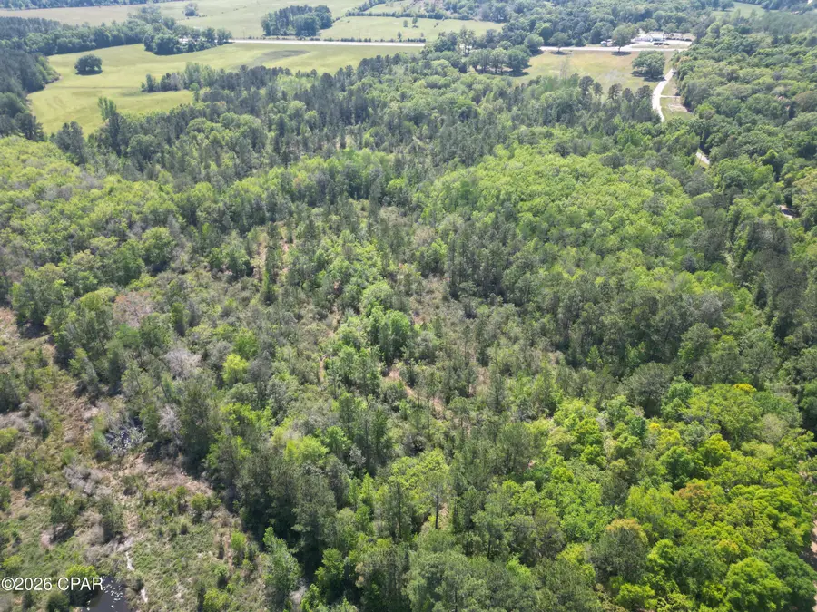 1683 Highway 162, Westville, FL 32464 - #2