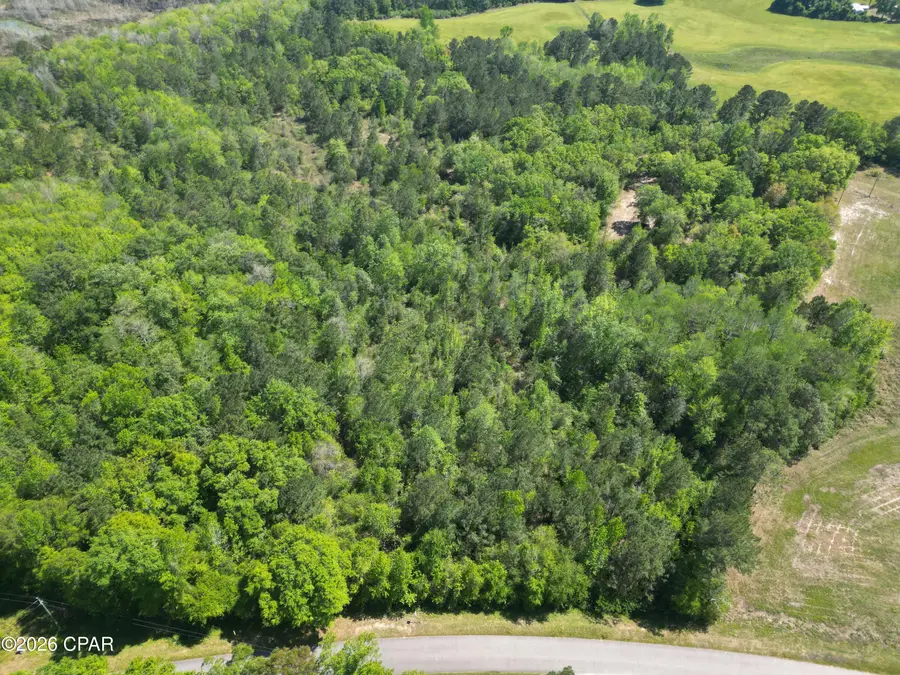 1683 Highway 162, Westville, FL 32464 - #3