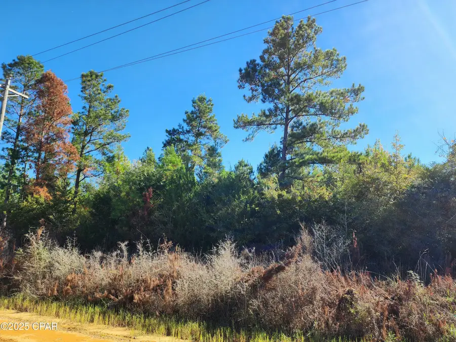 000 Pineridge Church Road, Marianna, FL 32448 - #2