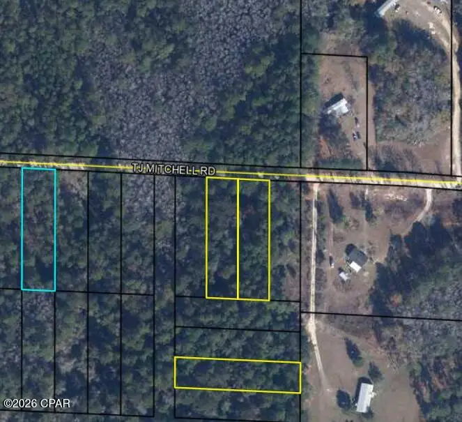00 T J Mitchell Road, Bonifay, FL 32425 - #2