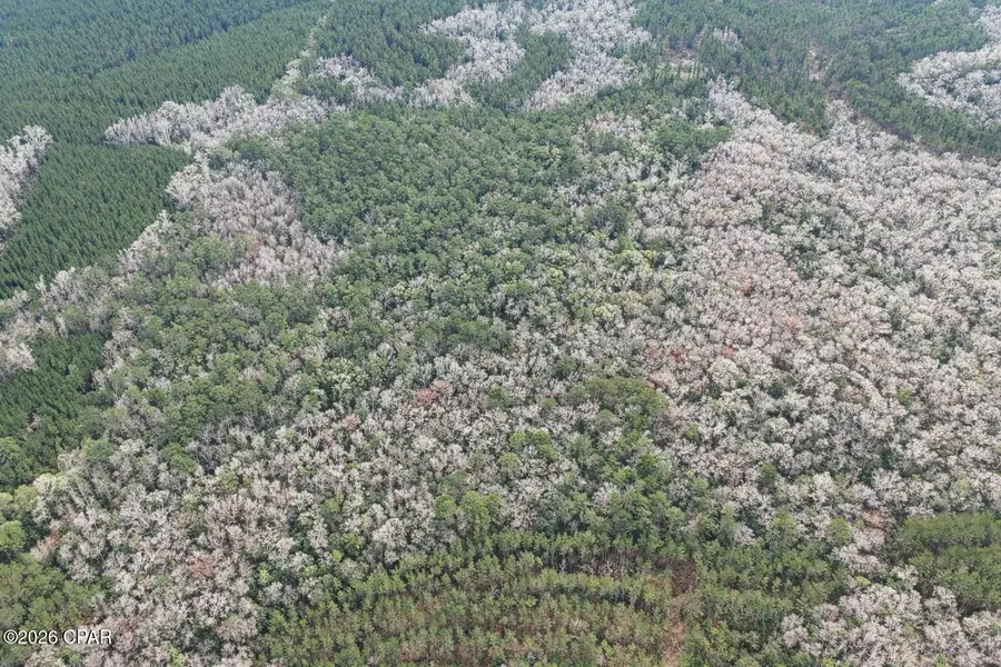 00 Clemmons Rd Road, Bonifay, FL 32425 - #3