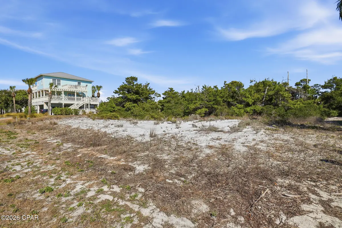 226 Seagrass Circle, Port Saint Joe, FL 32456 - #1