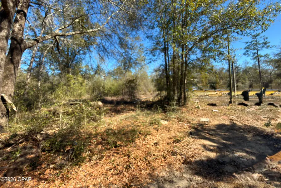 12533 Scott Road, Fountain, FL 32438 - #3