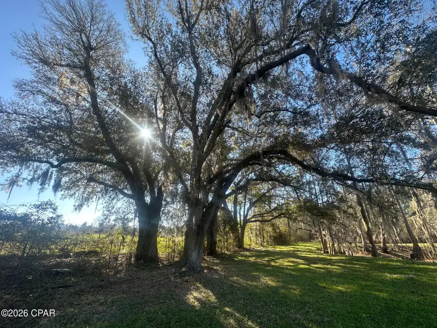 7293 Highway 90, Grand Ridge, FL 32442 - #3