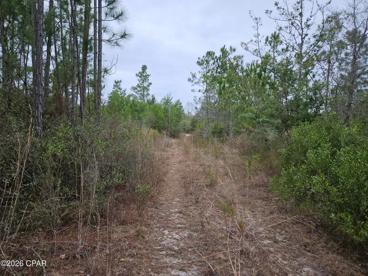 0000 Singer, Youngstown, FL 32466 - #1