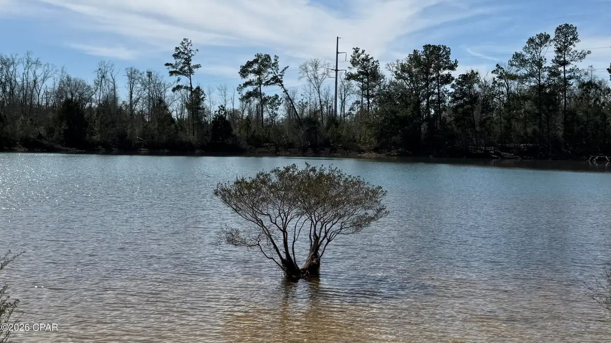 00 New Hope Road, Marianna, FL 32448 - #1