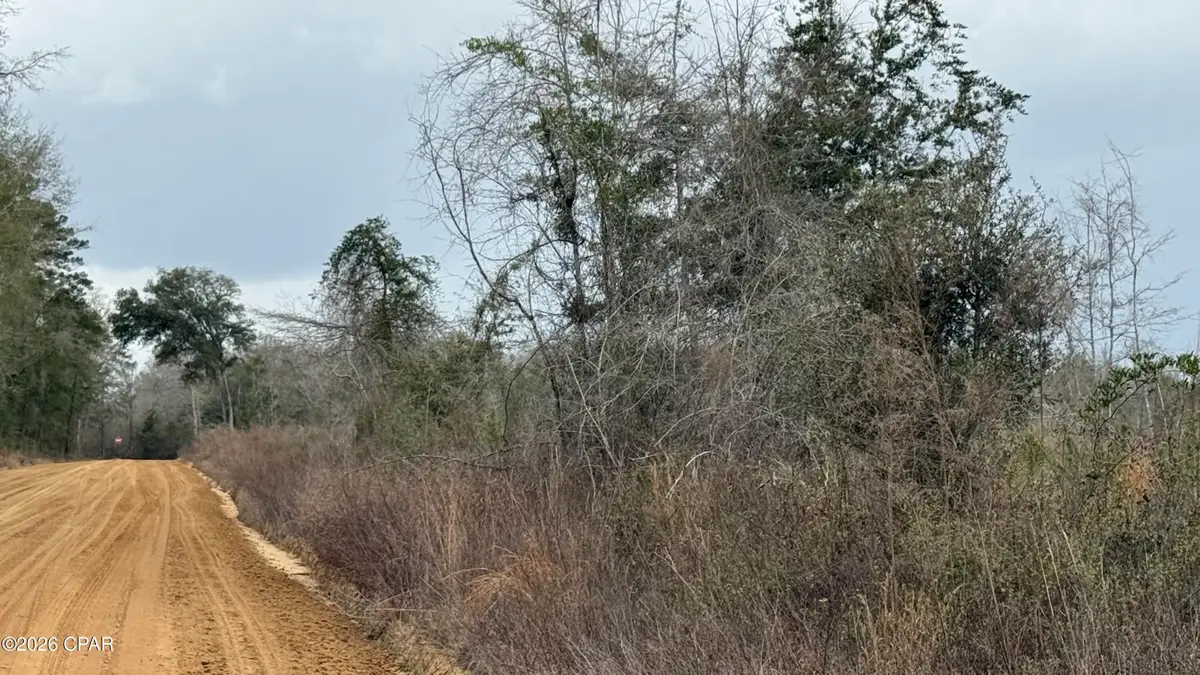 0000 Christmas Road, Campbellton, FL 32426 - #1