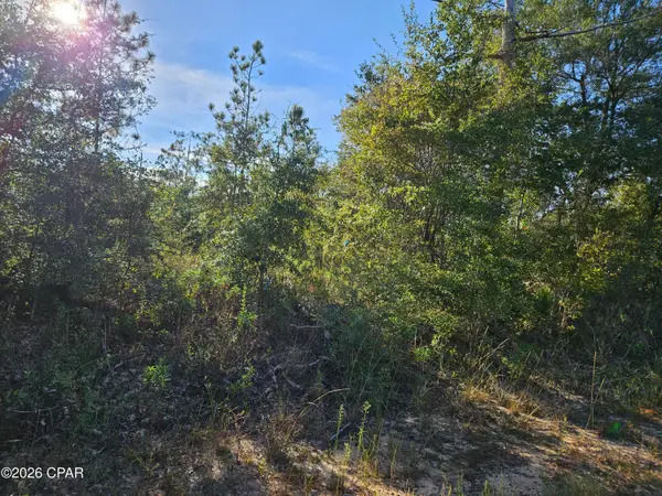 0000 Derby Drive, Chipley, FL 32428