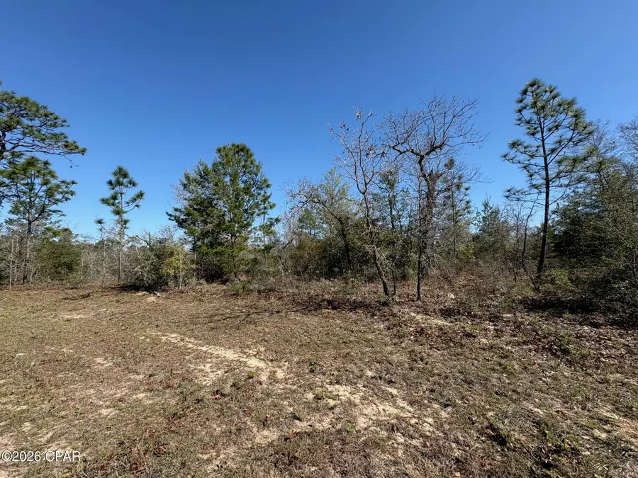 LOT 9 Trellis Drive, Chipley, FL 32428 - #3
