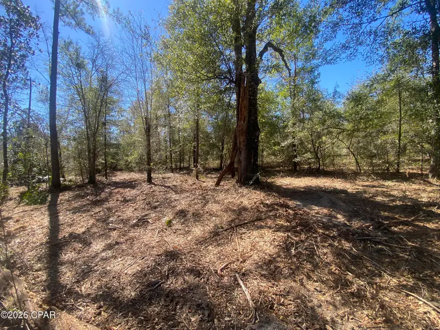 00 Pasofino Lane, Alford, FL 32420 - #2