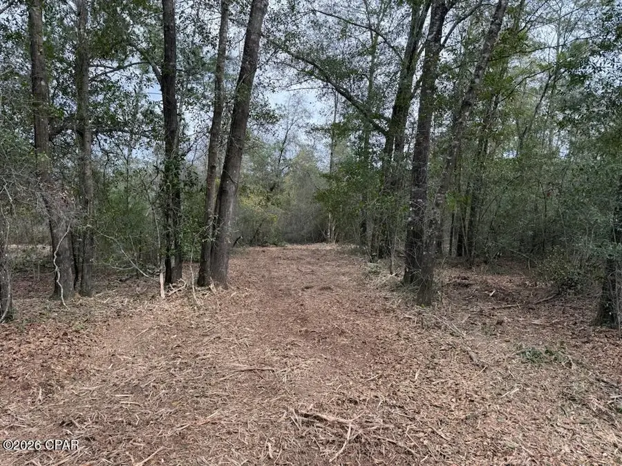 00 Pasofino Lane, Alford, FL 32420 - #3