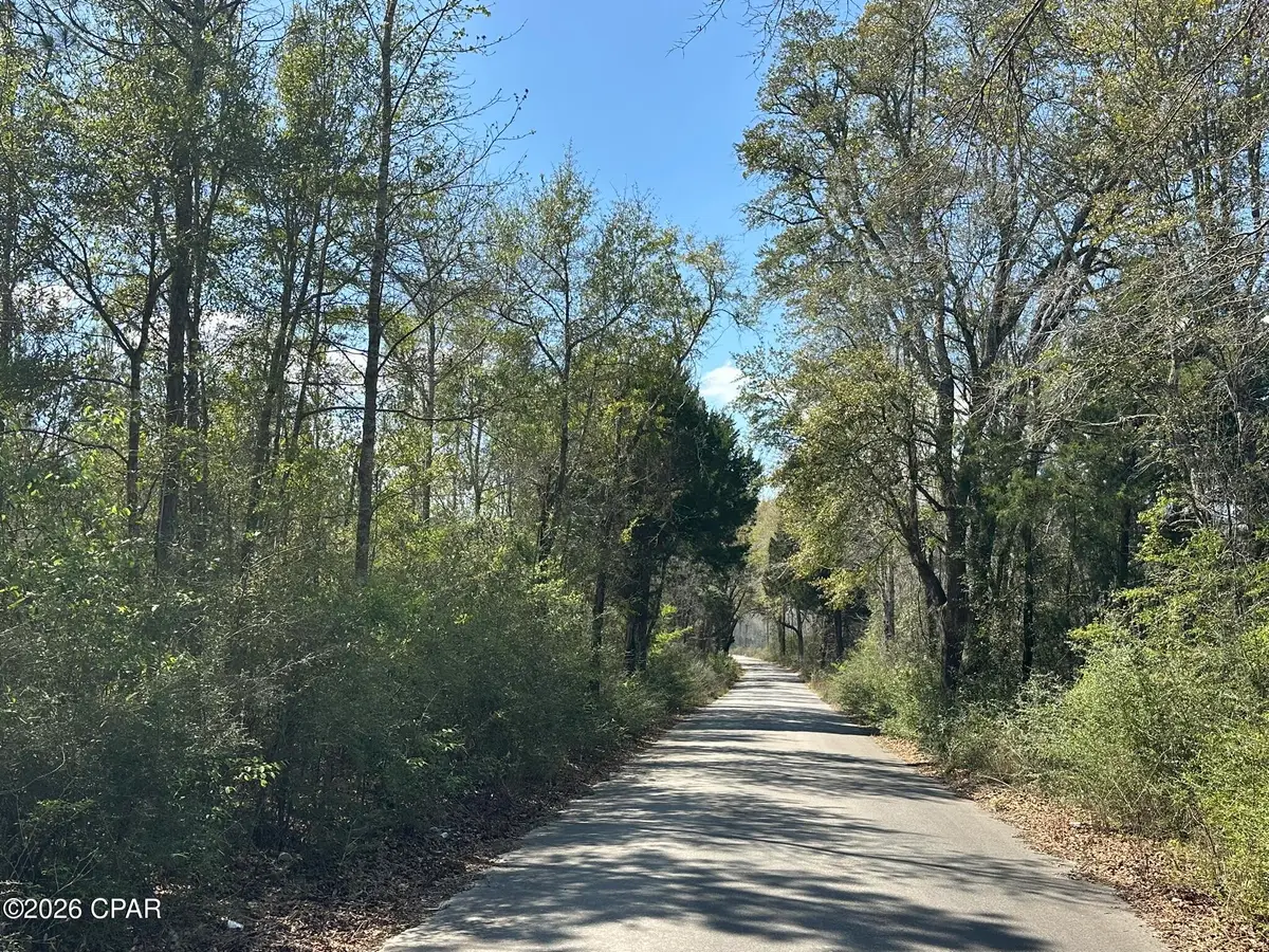Tract 6336 Sand Path Road, Bonifay, FL 32425 - #1