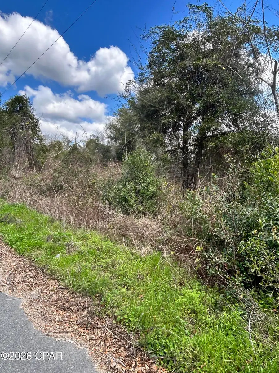 00 London Road, Cottondale, FL 32431 - #3