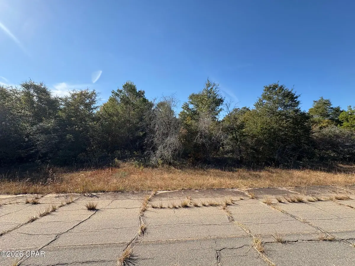LOT 6 Brighton Avenue, Chipley, FL 32428 - #1