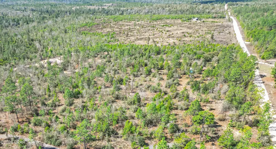 4303 NW Twin Ponds Road, Altha, FL 32421 - #3