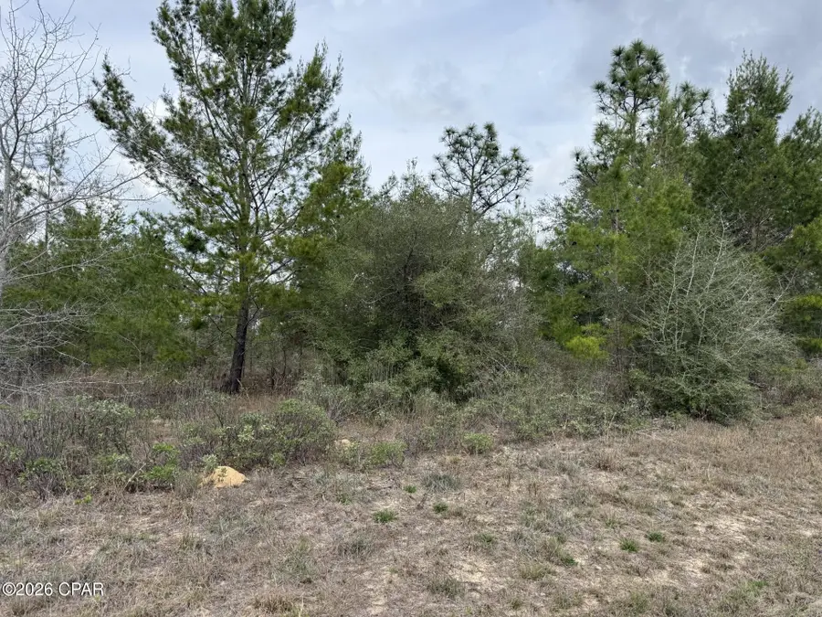 XXX Fairbanks Drive, Chipley, FL 32428 - #3