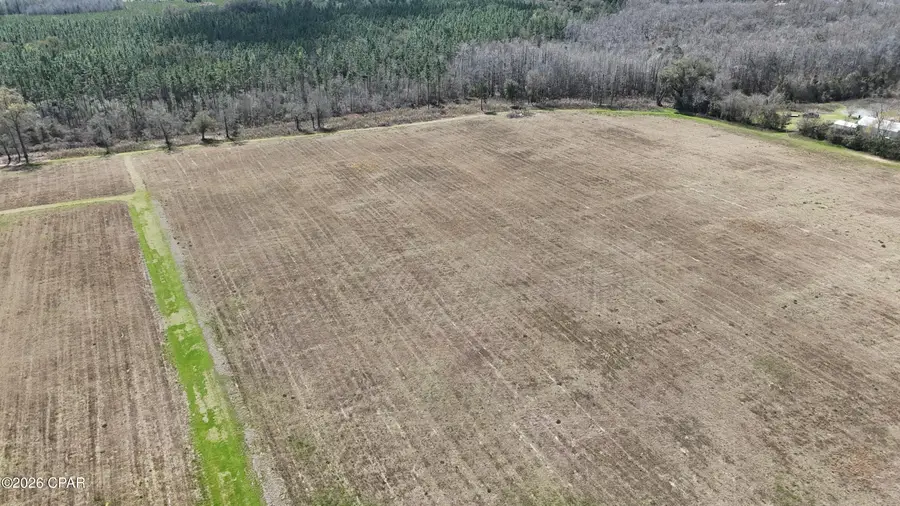 6775 U.s. Hwy 90, Grand Ridge, FL 32442 - #3