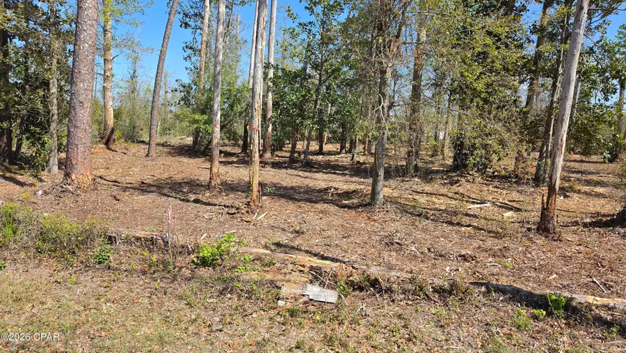 0000 Hwy 389, Lynn Haven, FL 32444 - #2