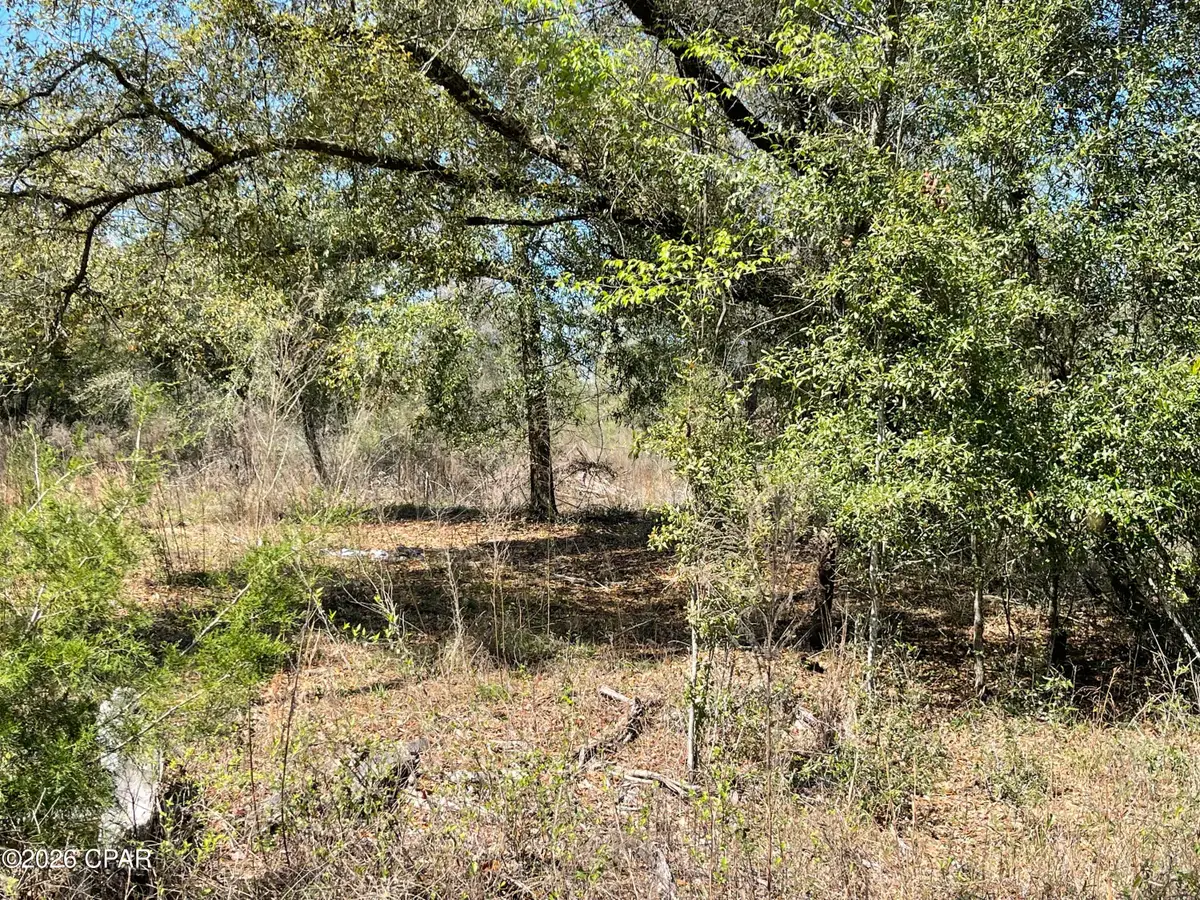 0 Speights Way, Bascom, FL 32423 - #1