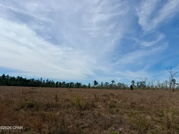23 acres Davenport Road, Marianna, FL 32448