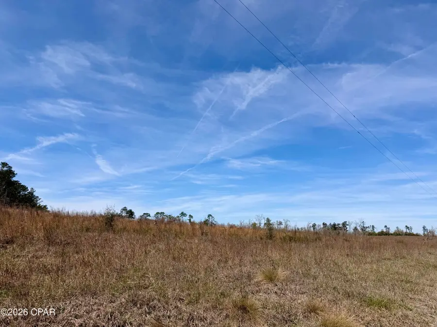 23 acres Davenport Road, Marianna, FL 32448 - #3