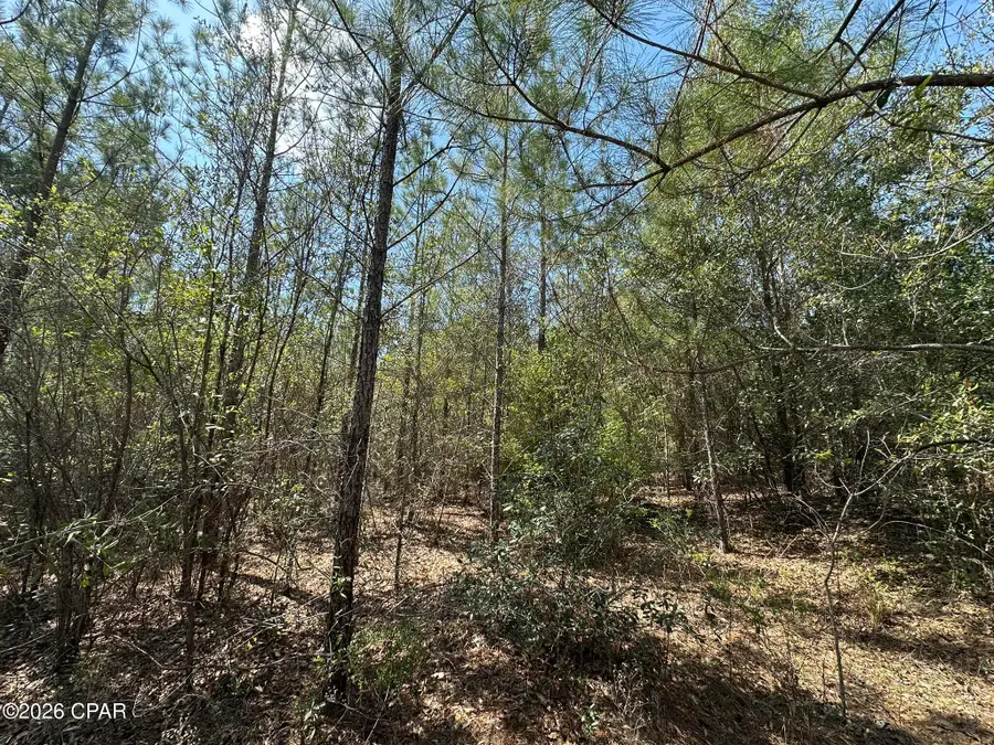 Tract#6421 Nw Clayton Road, Bonifay, FL 32425 - #3
