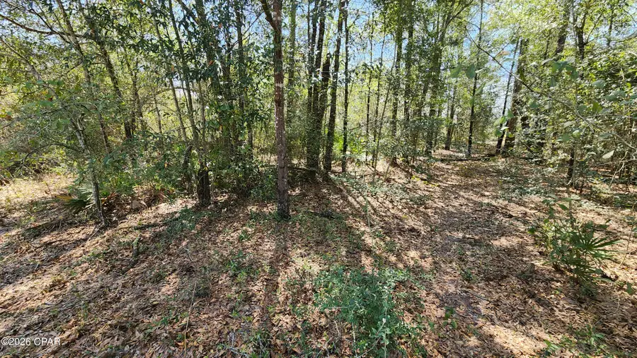 000 Edgewood Road, Fountain, FL 32438 - #3