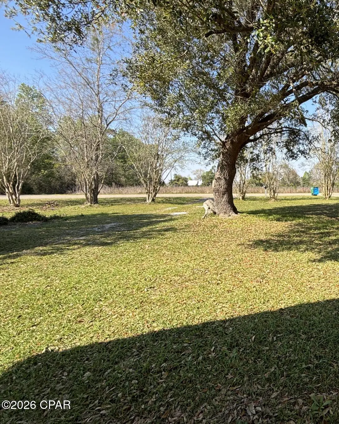 19655 Barfield Road, Blountstown, FL 32424 - #1