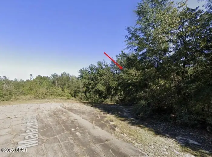 38 Malaluka Court, Chipley, FL 32428 - #2