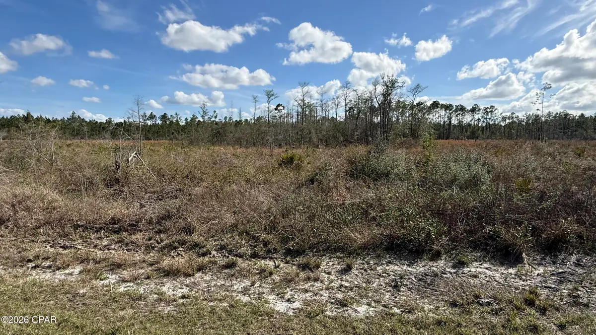 21703 Beech Valley Valley, Altha, FL 32421 - #1