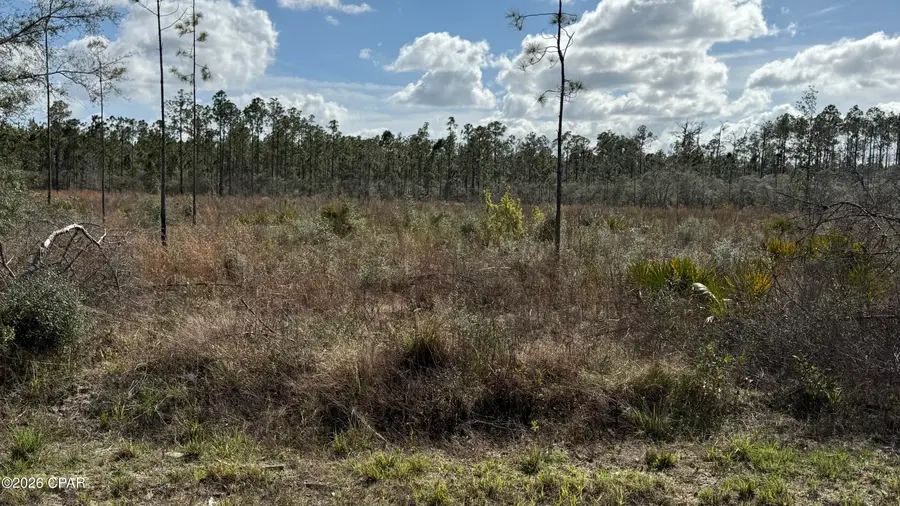 21703 Beech Valley Valley, Altha, FL 32421 - #3