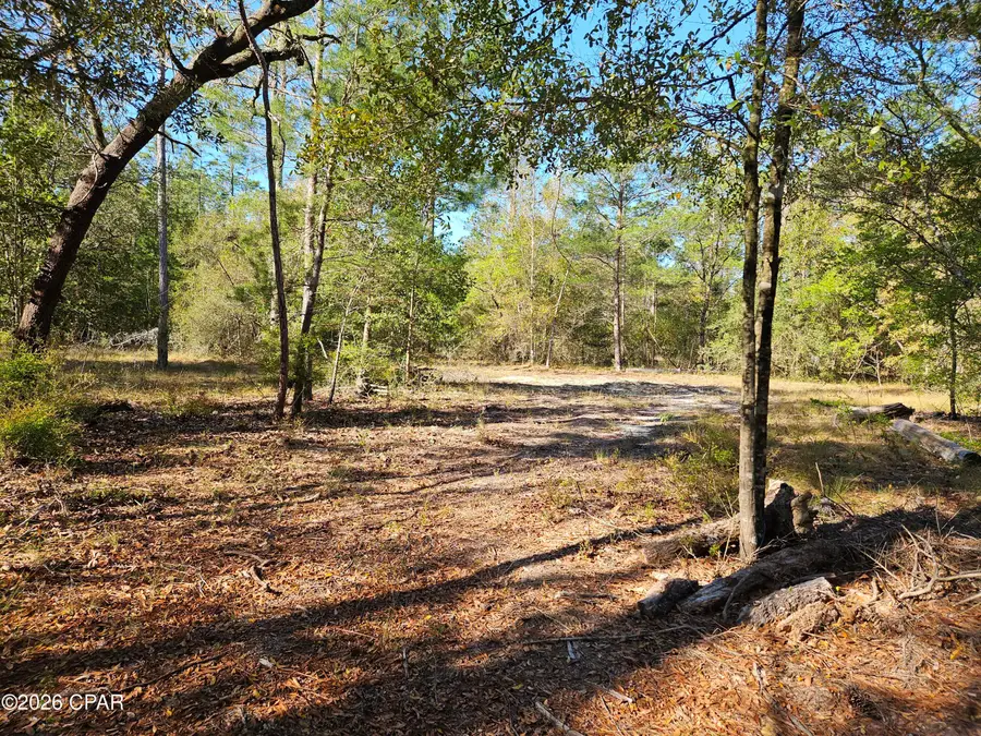 000 Preakness Place, Chipley, FL 32428 - #3