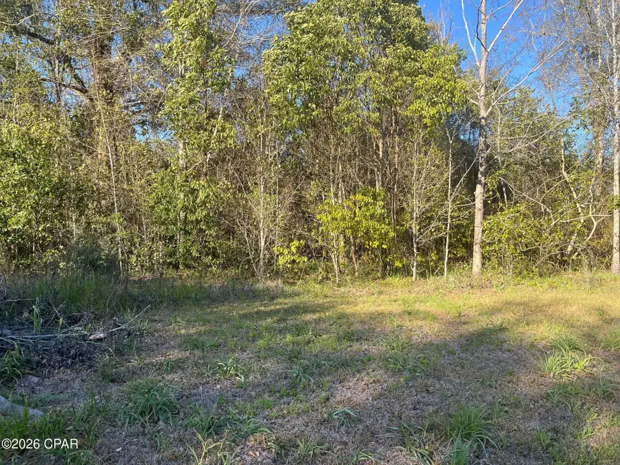 00 Main Street, Grand Ridge, FL 32442 - #3