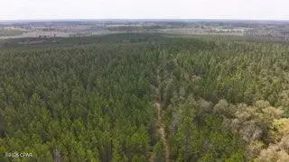 Tract#6418 Mattox Springs Road #S3, Caryville, FL 32427