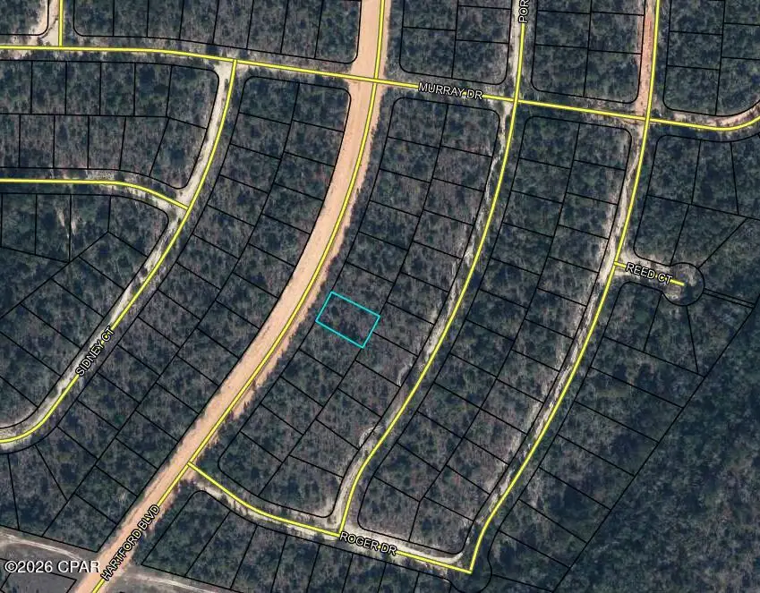 NA Hartford Boulevard, Chipley, FL 32428 - #1