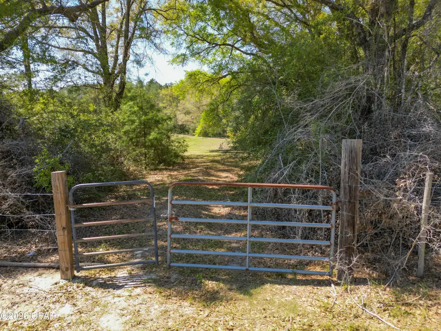 TBD River Road, Vernon, FL 32462 - #2