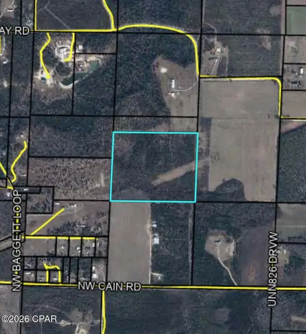 32.5 acres NW Gray Road, Clarksville, FL 32430