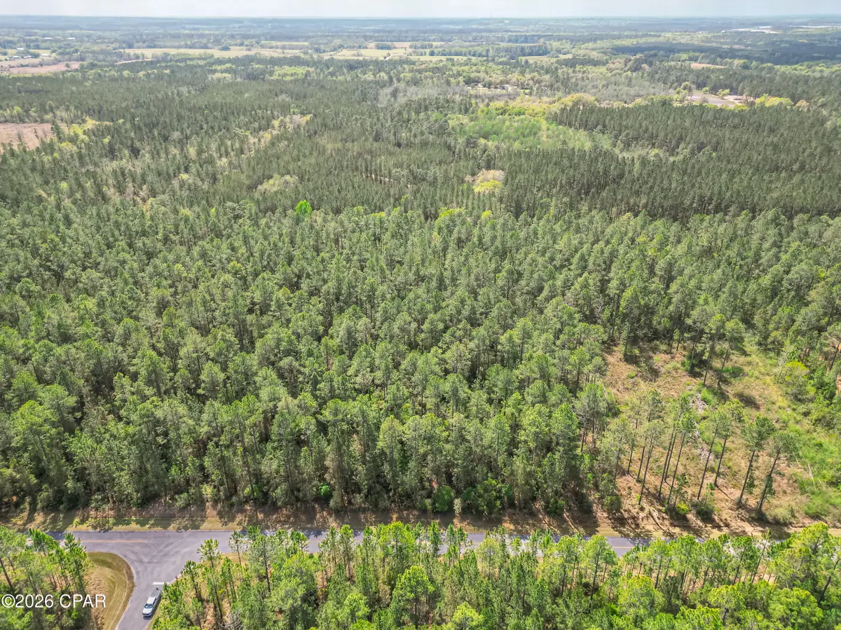 0004 Cypress Crossing Road, Vernon, FL 32462 - #1