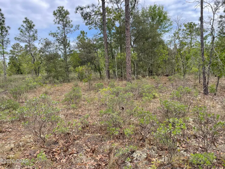 Lot 10 Aquarius Drive, Chipley, FL 32428 - #2