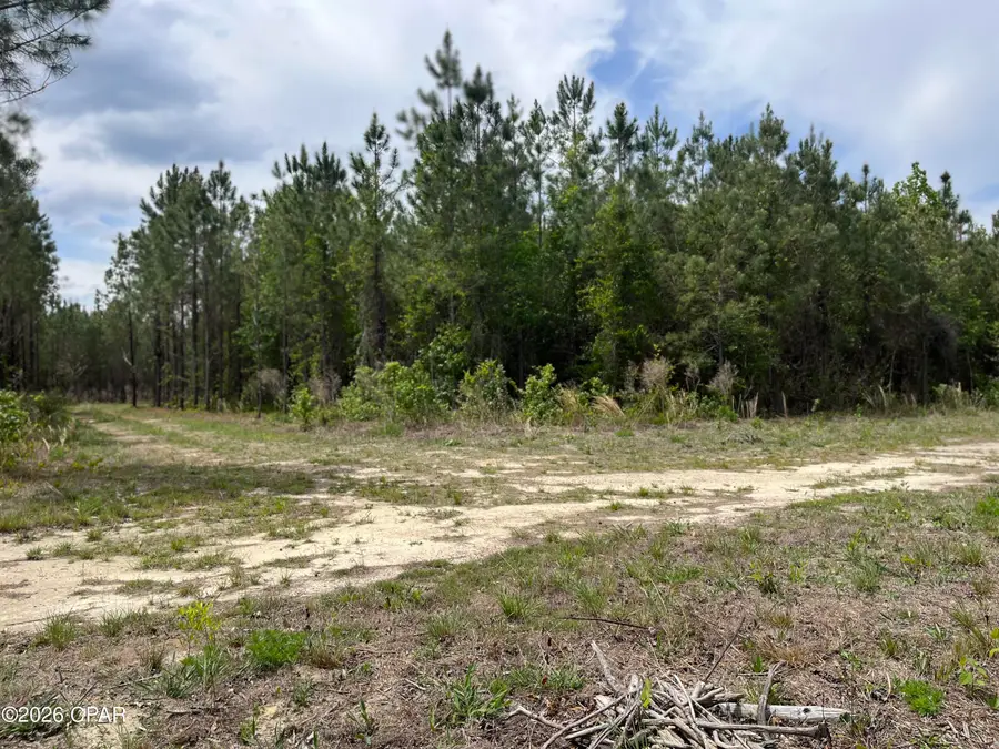 20460 Florida 71, Blountstown, FL 32424 - #2