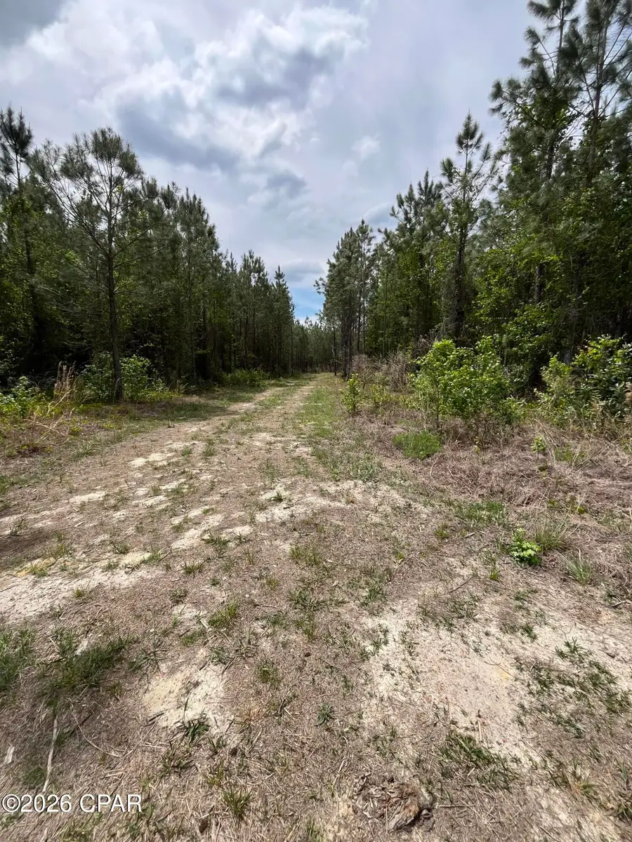 20460 Florida 71, Blountstown, FL 32424 - #3