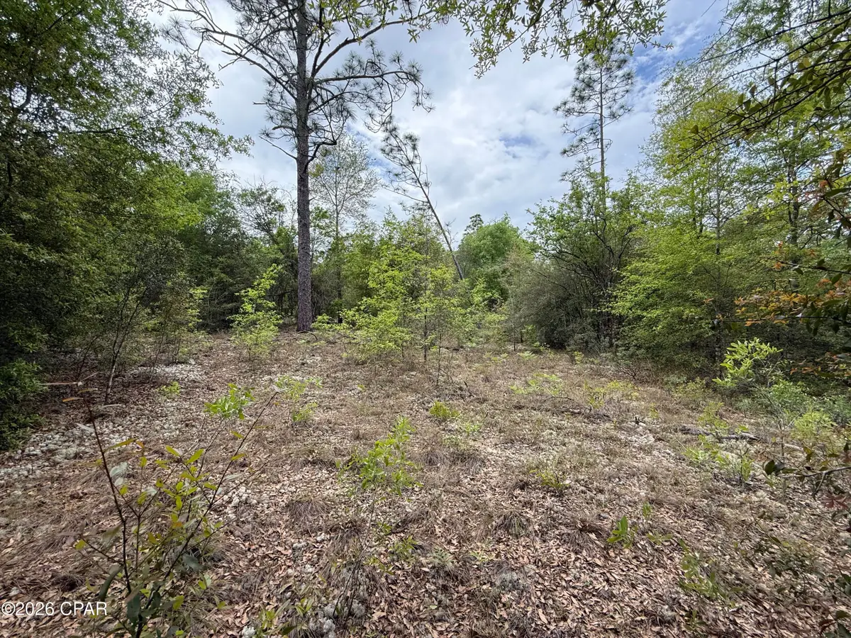 19678 Walsh Road, Fountain, FL 32438 - #1