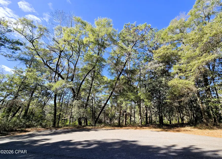 0 Yvonne Court, Havana, FL 32333 - #2