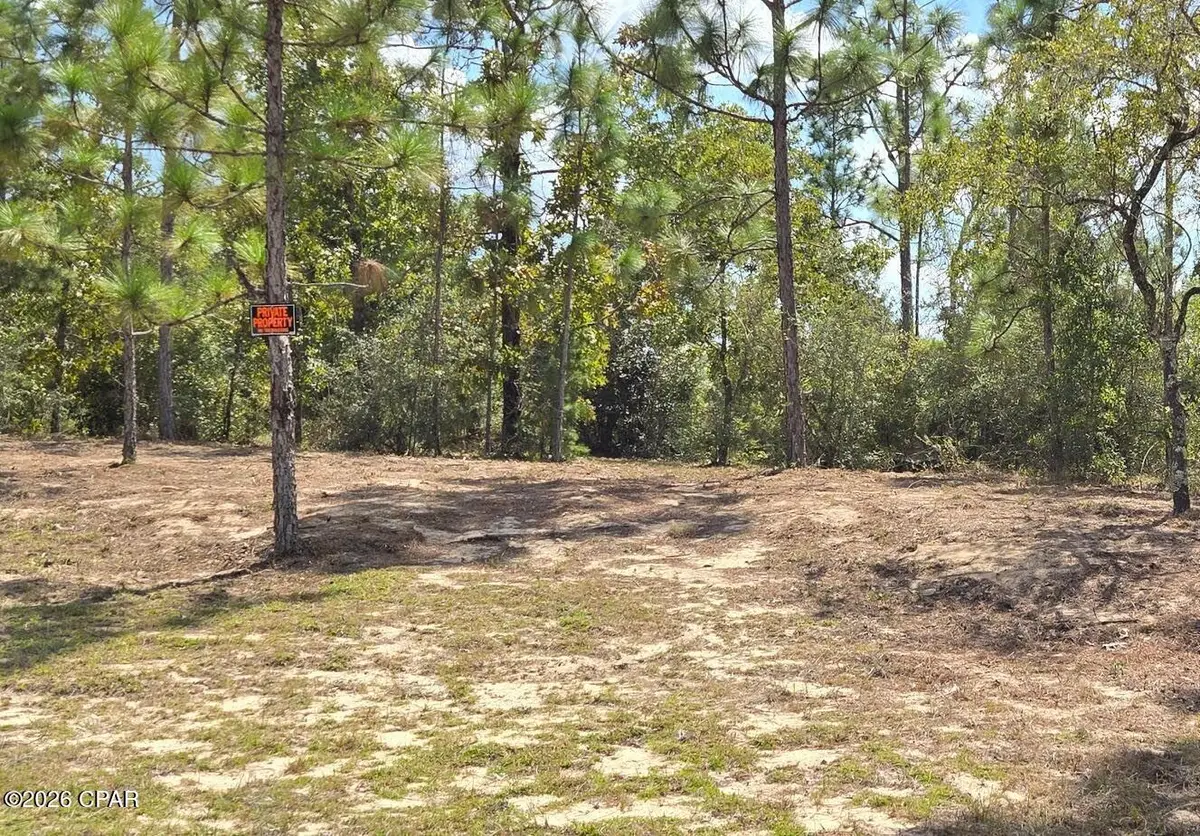 Lot 6 Trellis Drive, Chipley, FL 32428 - #1