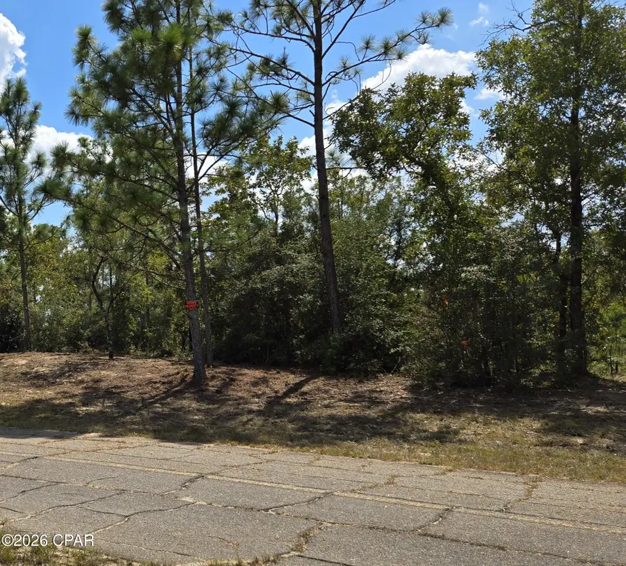 Lot 6 Trellis Drive, Chipley, FL 32428 - #2
