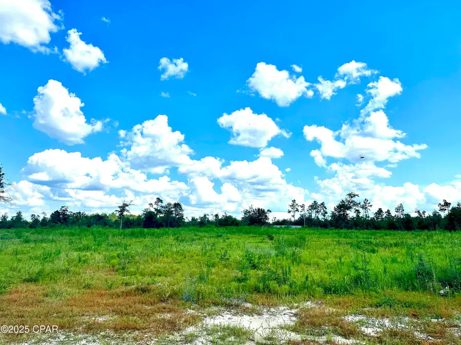 12810 Hwy 231, Youngstown, FL 32466 - #3